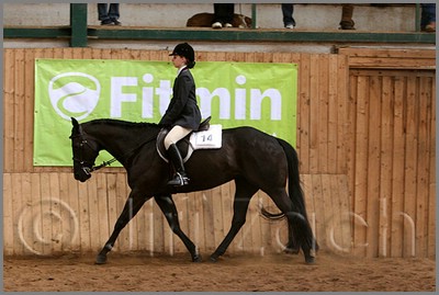 QH061_0911n.jpg (37,5 KB)