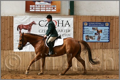 QH061_0919n.jpg (42,2 KB)