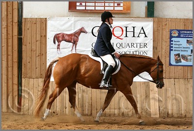 QH061_0926n.jpg (43,3 KB)