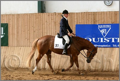 QH061_0930n.jpg (39,6 KB)