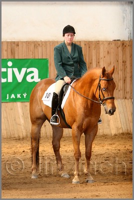 QH061_0936n.jpg (37,9 KB)