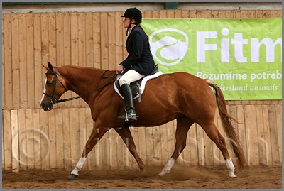 QH061_0950n.jpg (37,6 KB)