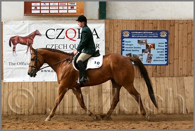 QH061_0952n.jpg (44,2 KB)