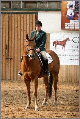 QH061_0953n.jpg (43,6 KB)