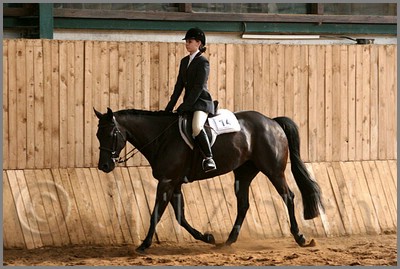 QH061_0959n.jpg (42,4 KB)