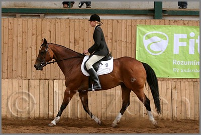 QH061_0960n.jpg (39,3 KB)