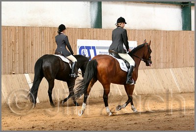 QH061_0964n.jpg (39,8 KB)