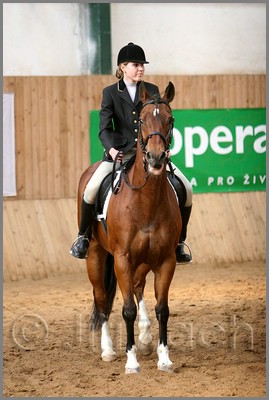 QH061_0967n.jpg (36,5 KB)