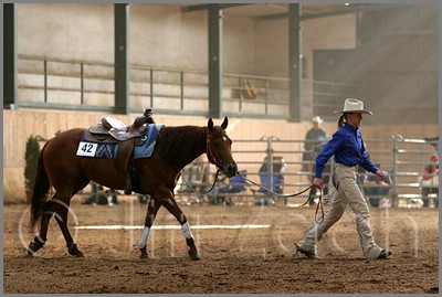 QH061_1016n.jpg (37,3 KB)