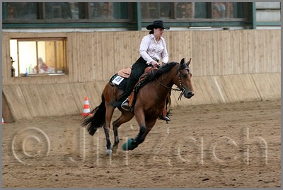 QH061_1033n.jpg (36,0 KB)