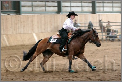 QH061_1034n.jpg (35,4 KB)