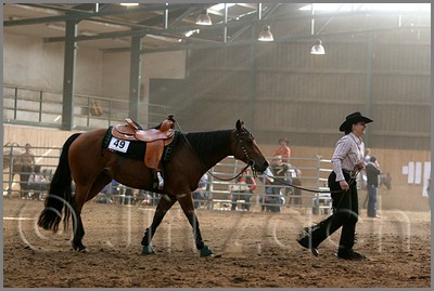 QH061_1045n.jpg (37,0 KB)