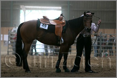 QH061_1046n.jpg (31,1 KB)