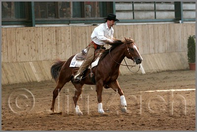 QH061_1055n.jpg (38,9 KB)