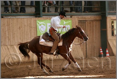 QH061_1059n.jpg (36,9 KB)
