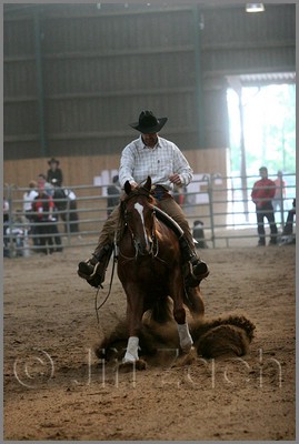 QH061_1063n.jpg (33,0 KB)