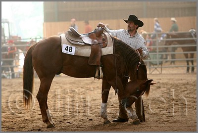 QH061_1066n.jpg (35,9 KB)