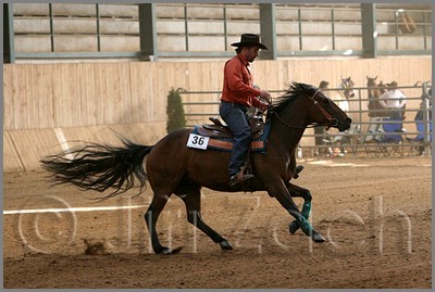 QH061_1072n.jpg (40,8 KB)