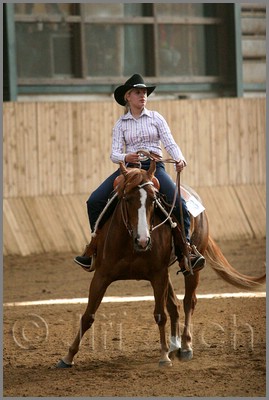 QH061_1081n.jpg (35,0 KB)