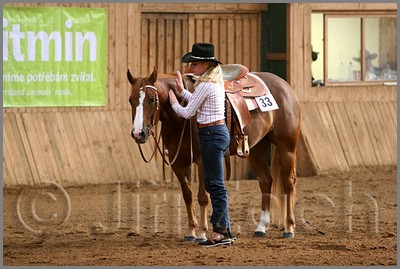 QH061_1089n.jpg (41,1 KB)