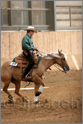 QH061_1095n.jpg (35,9 KB)