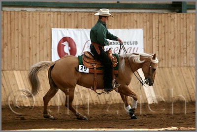 QH061_1103n.jpg (37,4 KB)