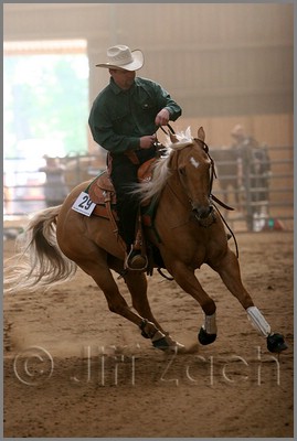 QH061_1104n.jpg (30,5 KB)