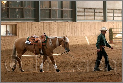QH061_1110n.jpg (42,3 KB)