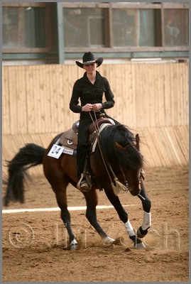 QH061_1111n.jpg (35,0 KB)