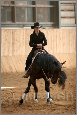 QH061_1112n.jpg (32,9 KB)