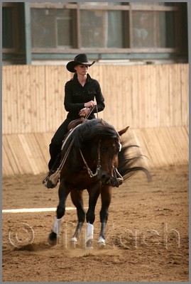 QH061_1113n.jpg (33,6 KB)