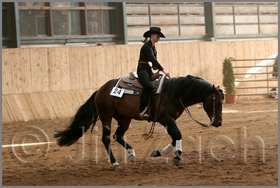QH061_1117n.jpg (37,6 KB)