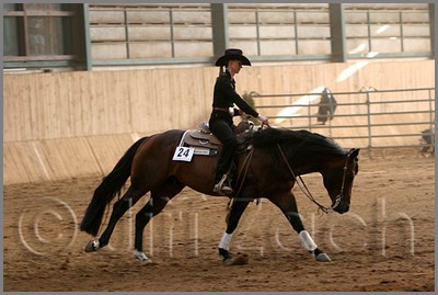 QH061_1118n.jpg (37,2 KB)