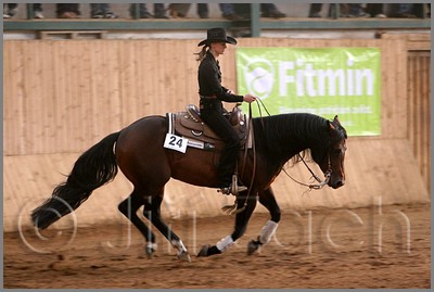 QH061_1119n.jpg (34,5 KB)