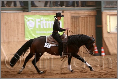 QH061_1120n.jpg (34,2 KB)