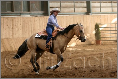 QH061_1132n.jpg (37,2 KB)
