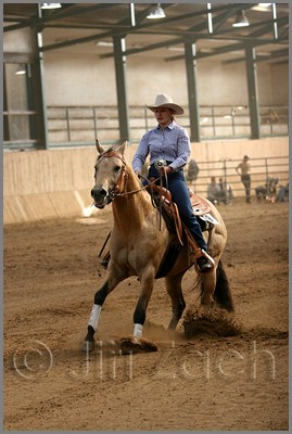 QH061_1137n.jpg (38,3 KB)
