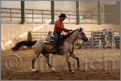 QH061_1143n.jpg (40,1 KB)