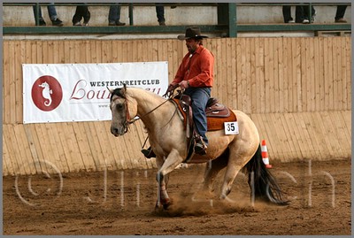 QH061_1146n.jpg (43,0 KB)
