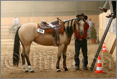 QH061_1149n.jpg (38,9 KB)