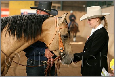 QH061_1160n.jpg (35,7 KB)