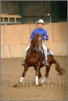 QH061_1178n.jpg (31,8 KB)