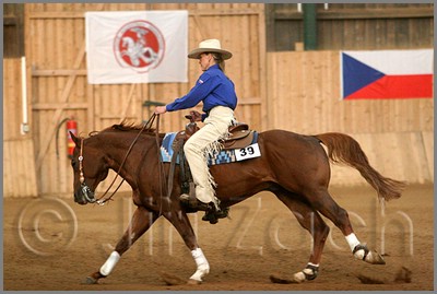 QH061_1179n.jpg (36,5 KB)