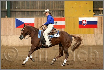 QH061_1180n.jpg (36,9 KB)