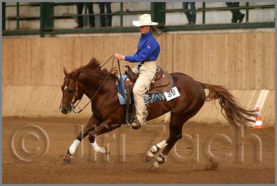 QH061_1184n.jpg (36,5 KB)