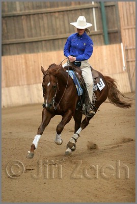 QH061_1185n.jpg (33,3 KB)