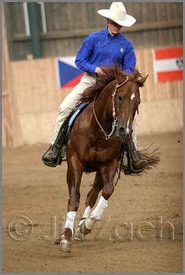 QH061_1186n.jpg (32,3 KB)