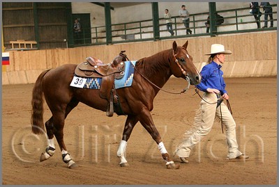 QH061_1189n.jpg (40,1 KB)
