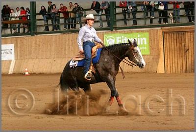 QH061_1190n.jpg (42,2 KB)