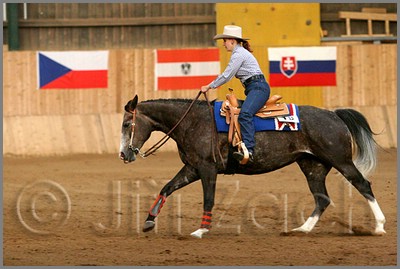 QH061_1198n.jpg (37,6 KB)